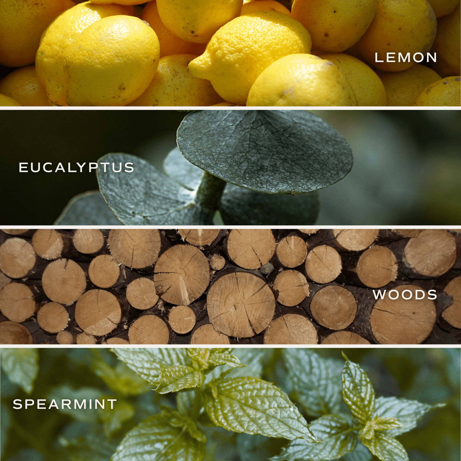 Stress Relief 12 oz Soy Candle - Posh West Boutique