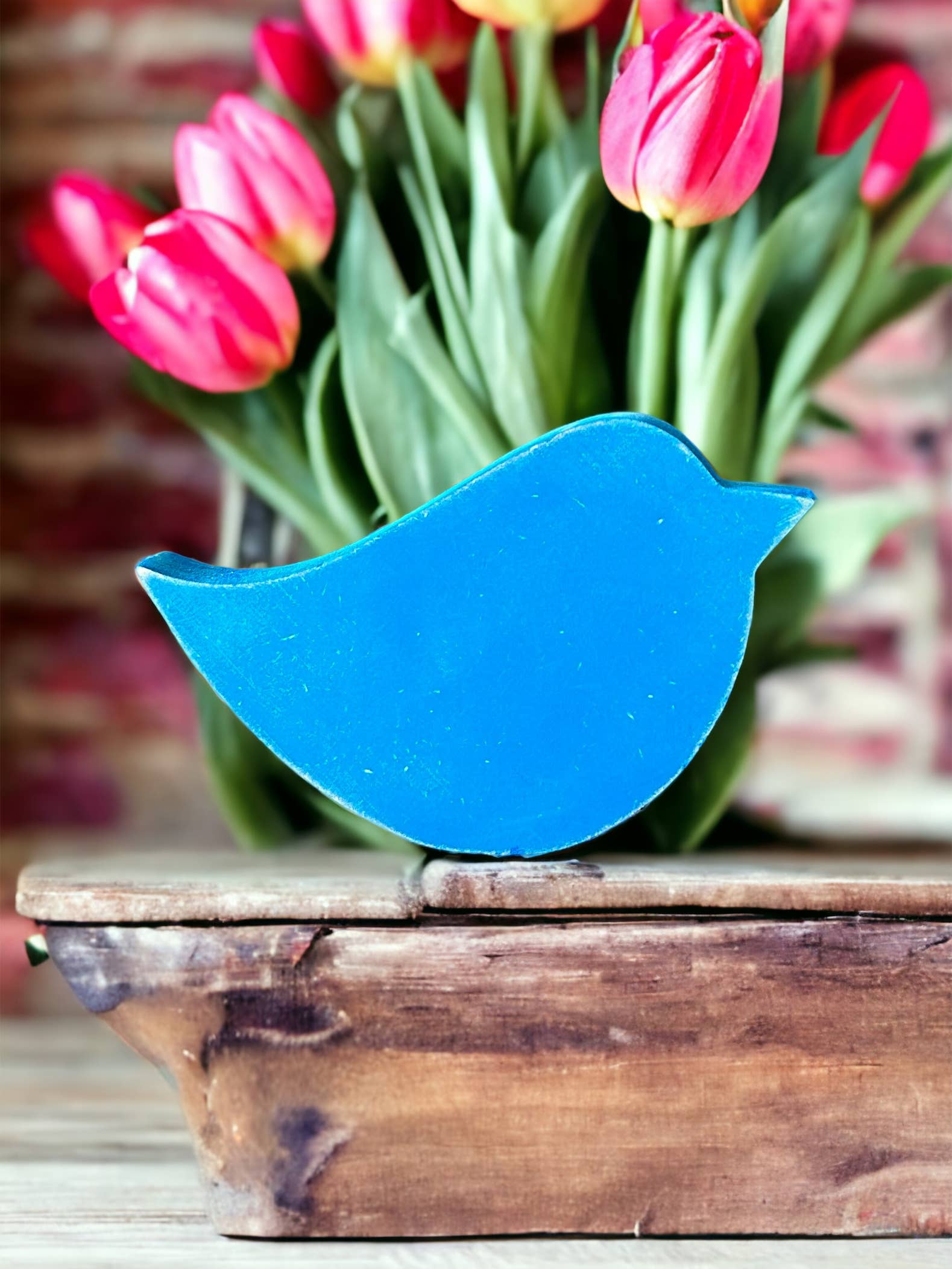 Primitive/Rustic Wood Bird Shelf Sitter - Posh West Boutique