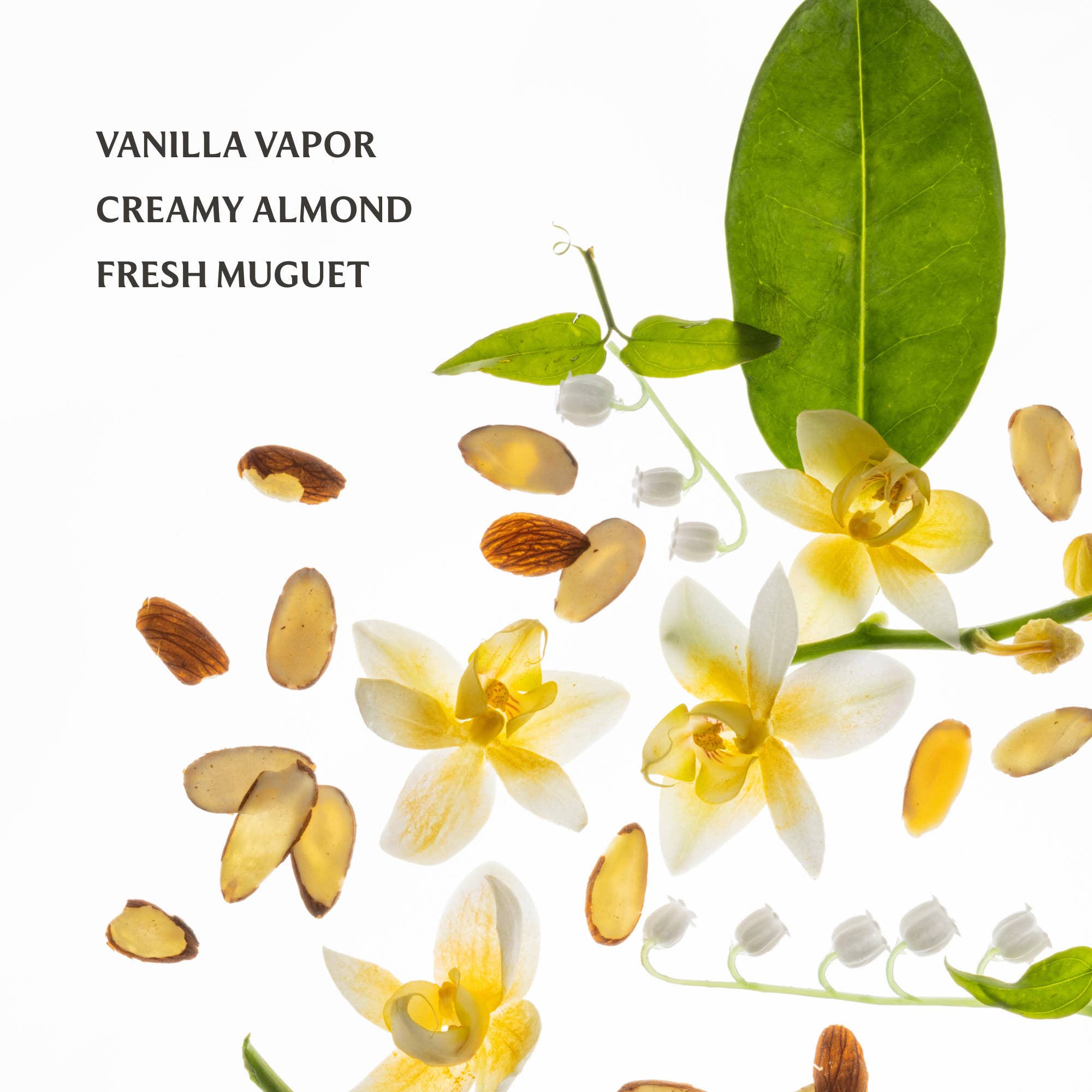 Vanilla Velvet Power Essence Body & Hair Fragrance Mist - Posh West Boutique