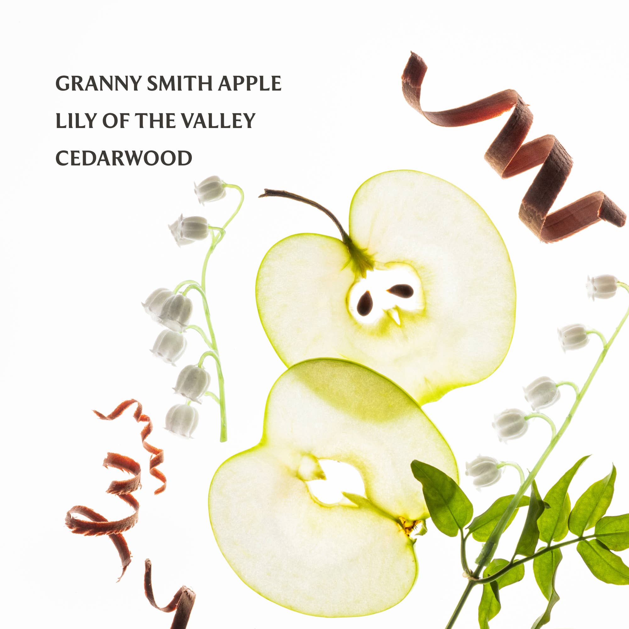 Applelicious Power Mist Hydrating Hand Sanitizer - Posh West Boutique