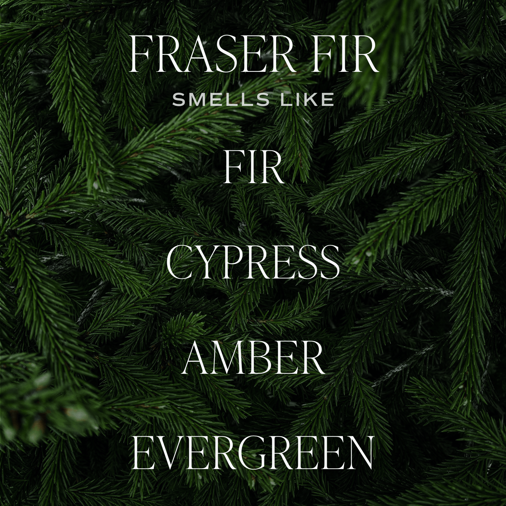 Fraser Fir Candle - Posh West Boutique