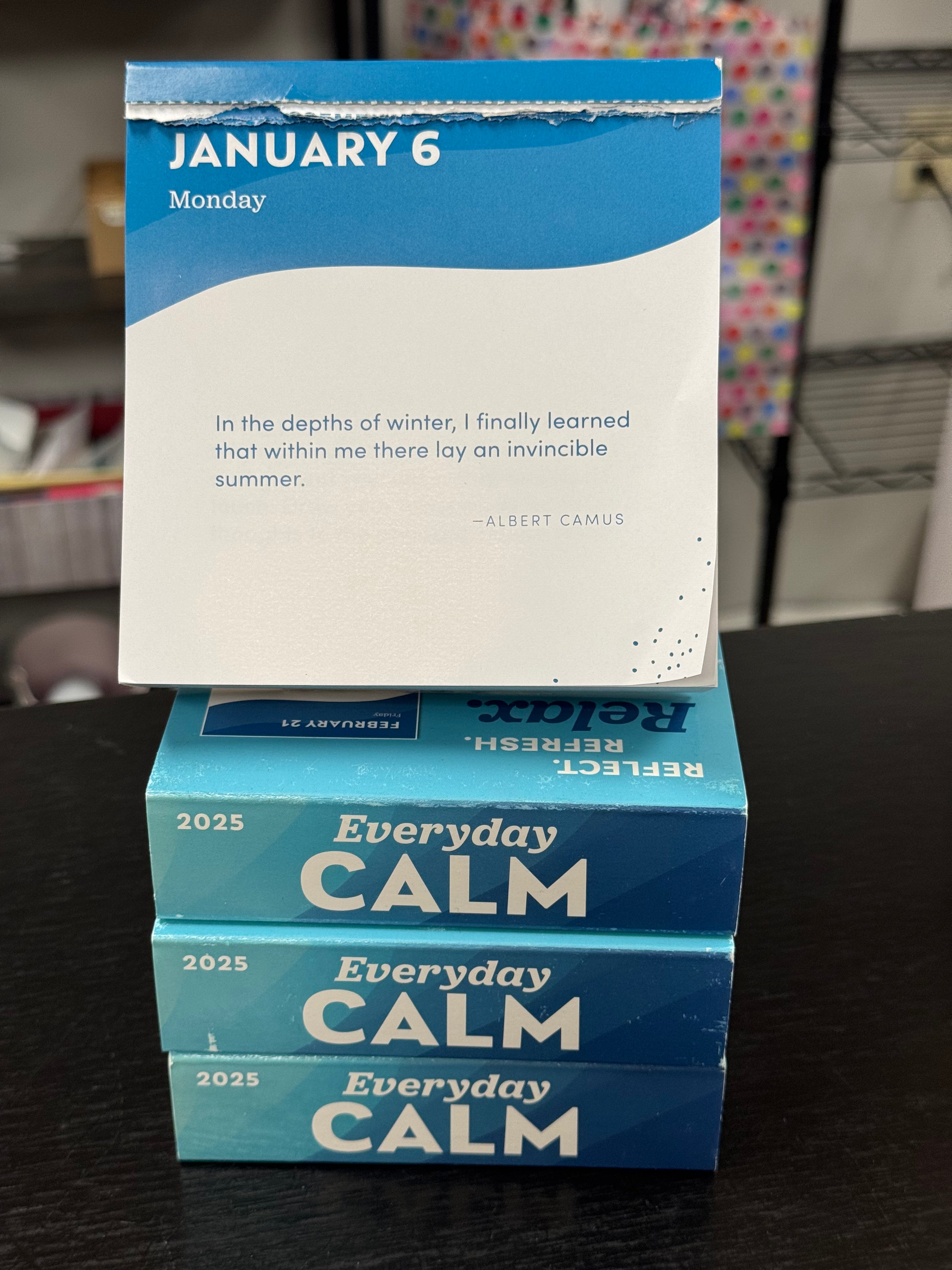 2025 Everyday Calm Daily Calendar - Posh West Boutique