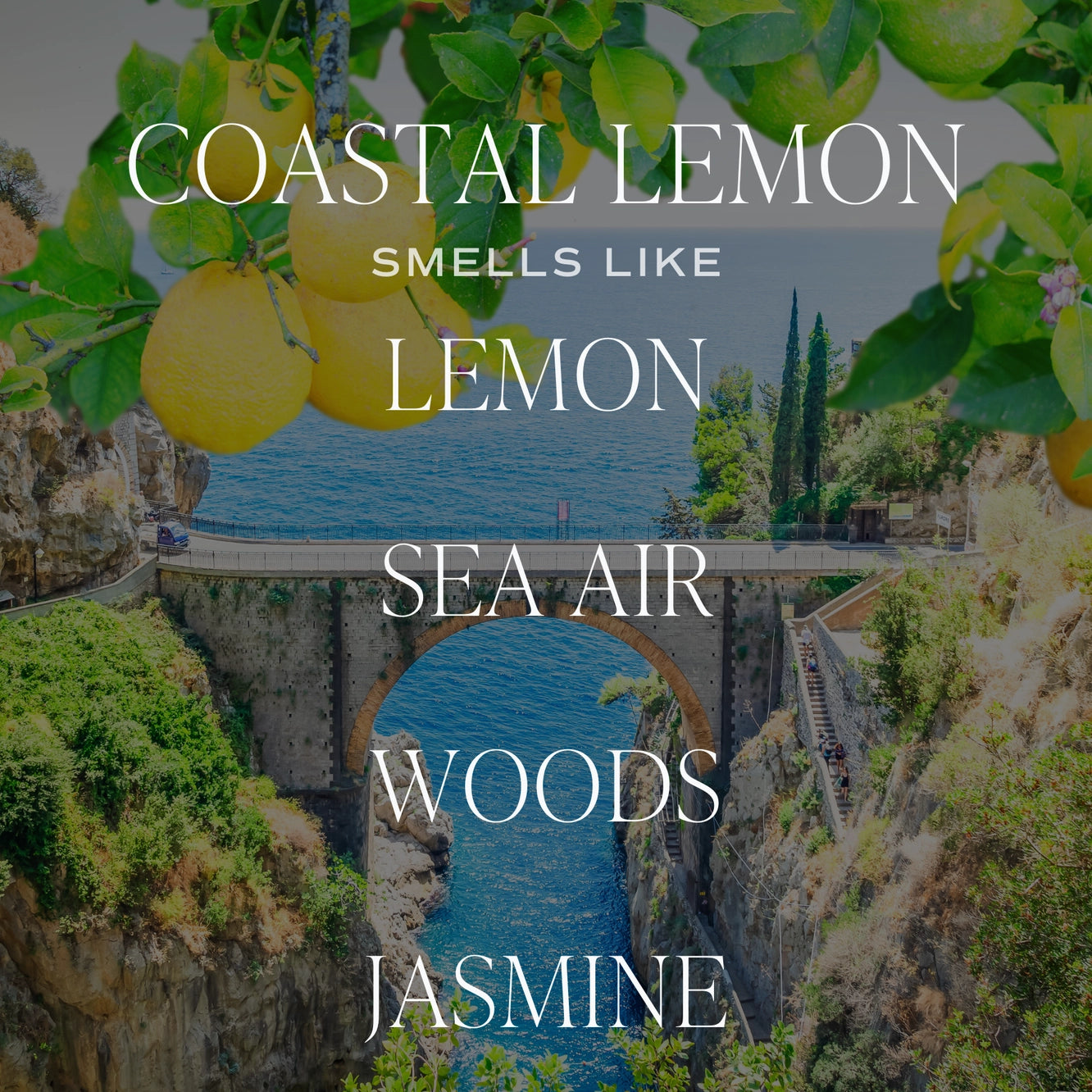 Coastal Lemon Soy Candle - Posh West Boutique