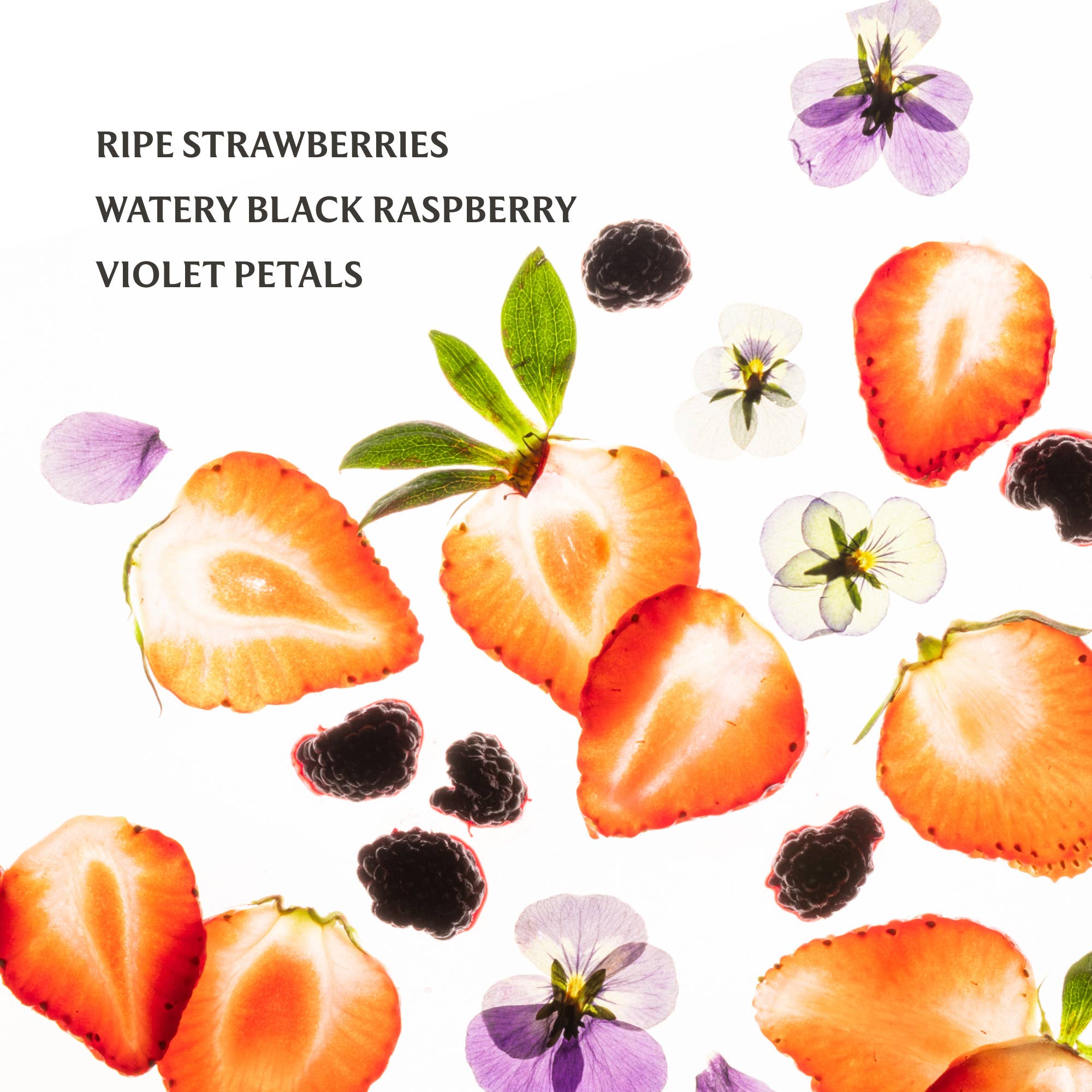 Berry Bliss Power Mist Hydrating Hand Sanitizer - Posh West Boutique