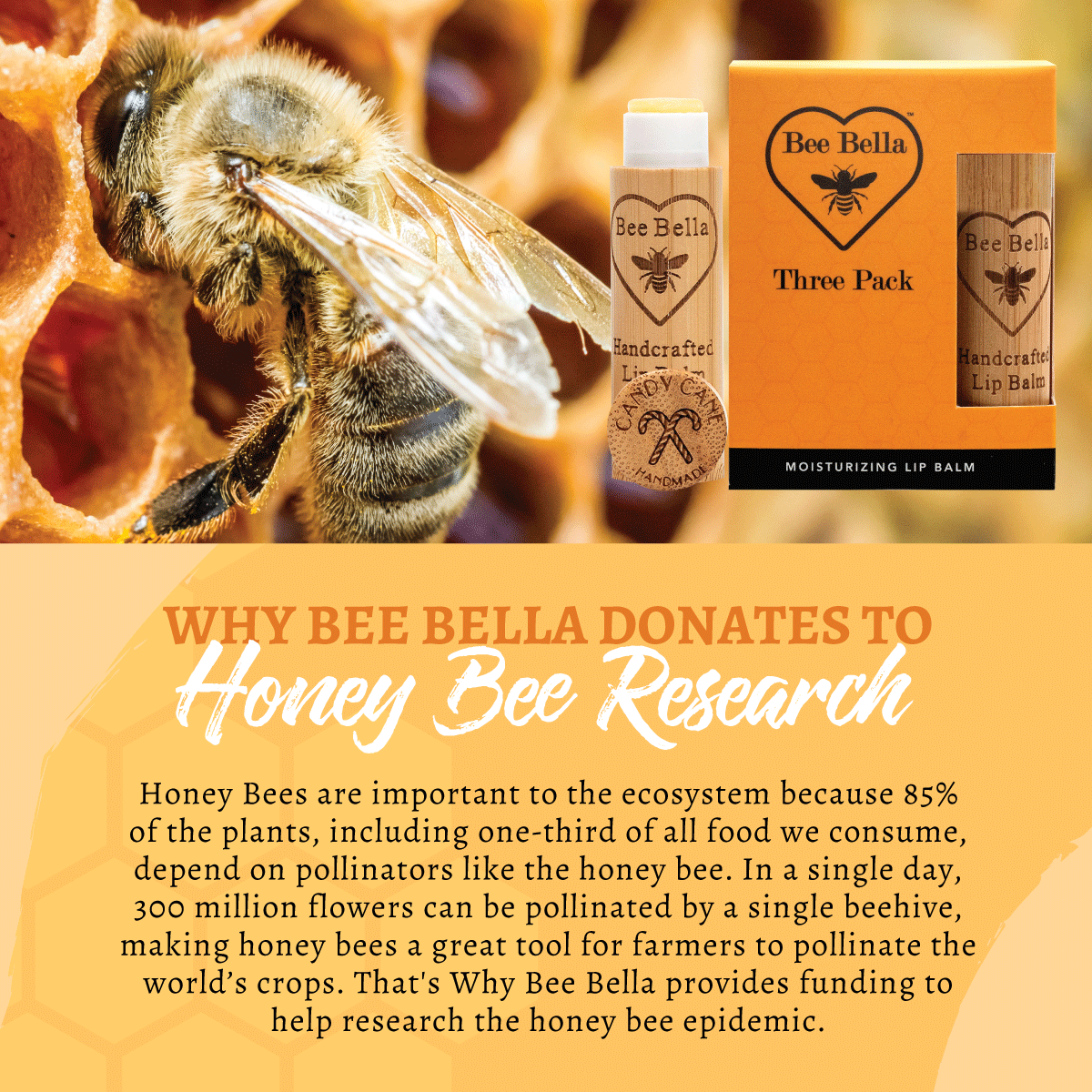 Bee Bella’s Lip Balm- Variety of Flavors Available - Posh West Boutique