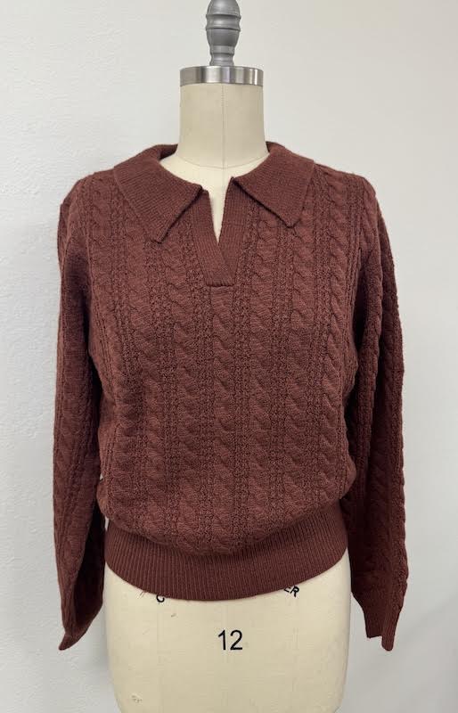 Luxurious Rust Collared V Neck Sweater
