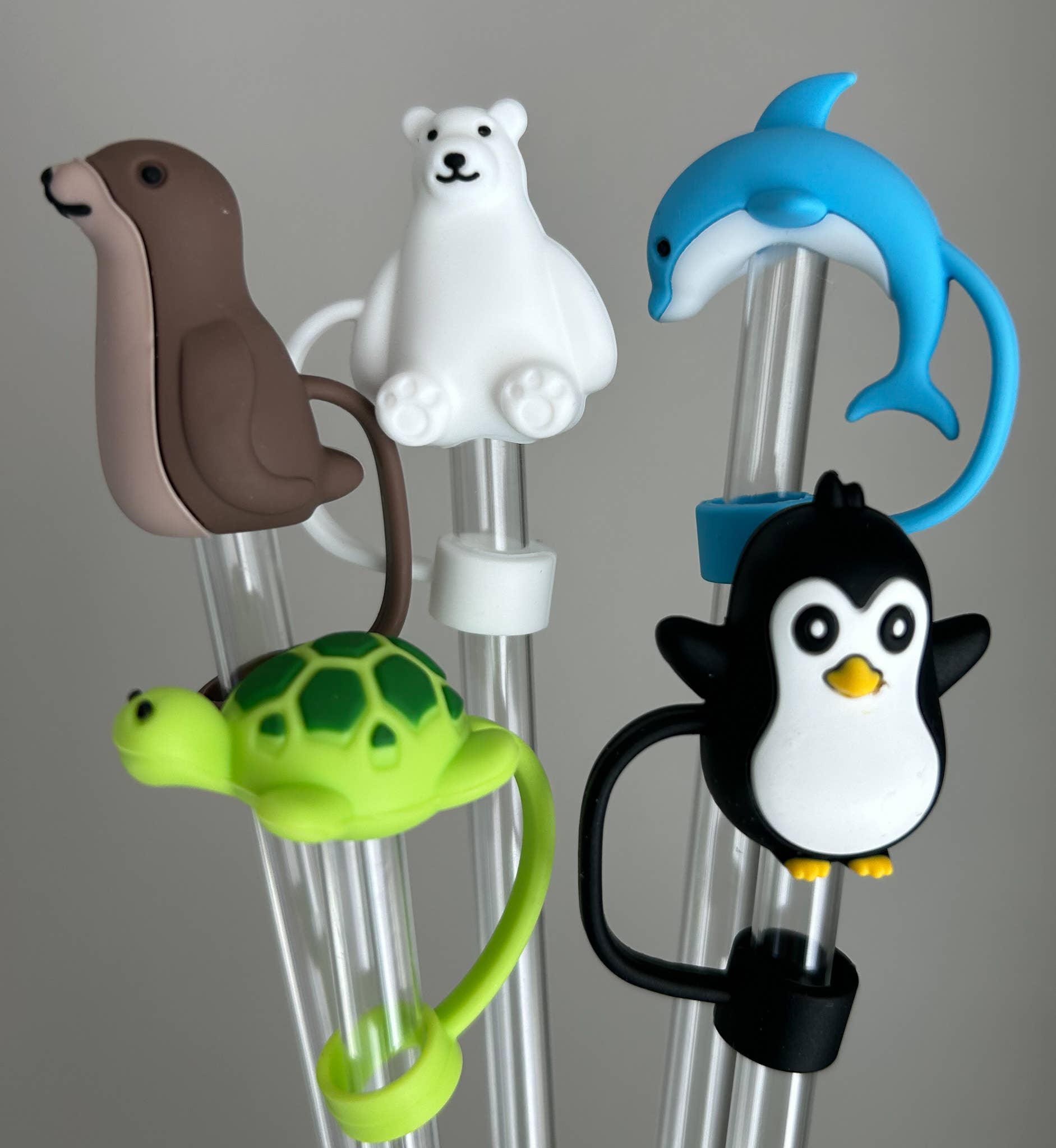 Tumbler Straw Topper - Various Designs