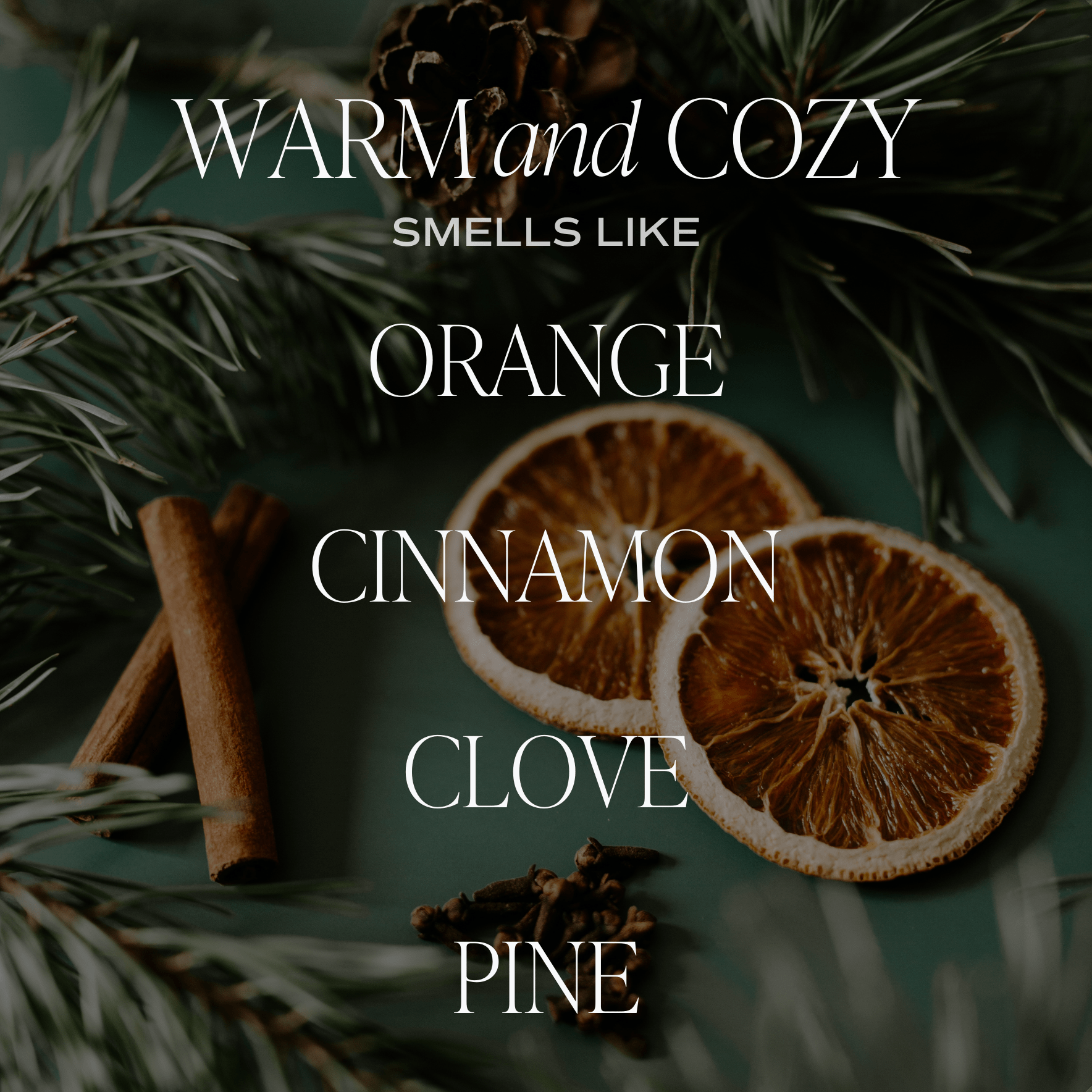 Warm and Cozy Soy Candle - Posh West Boutique