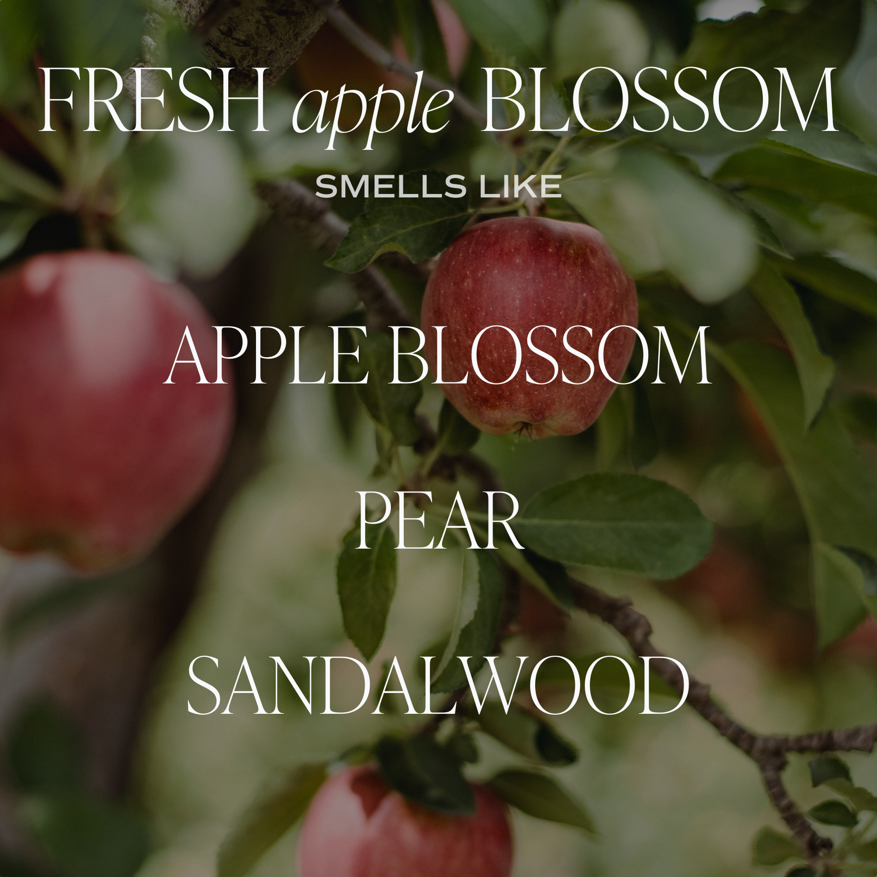 Fresh Apple Blossom Soy Candle - Posh West Boutique