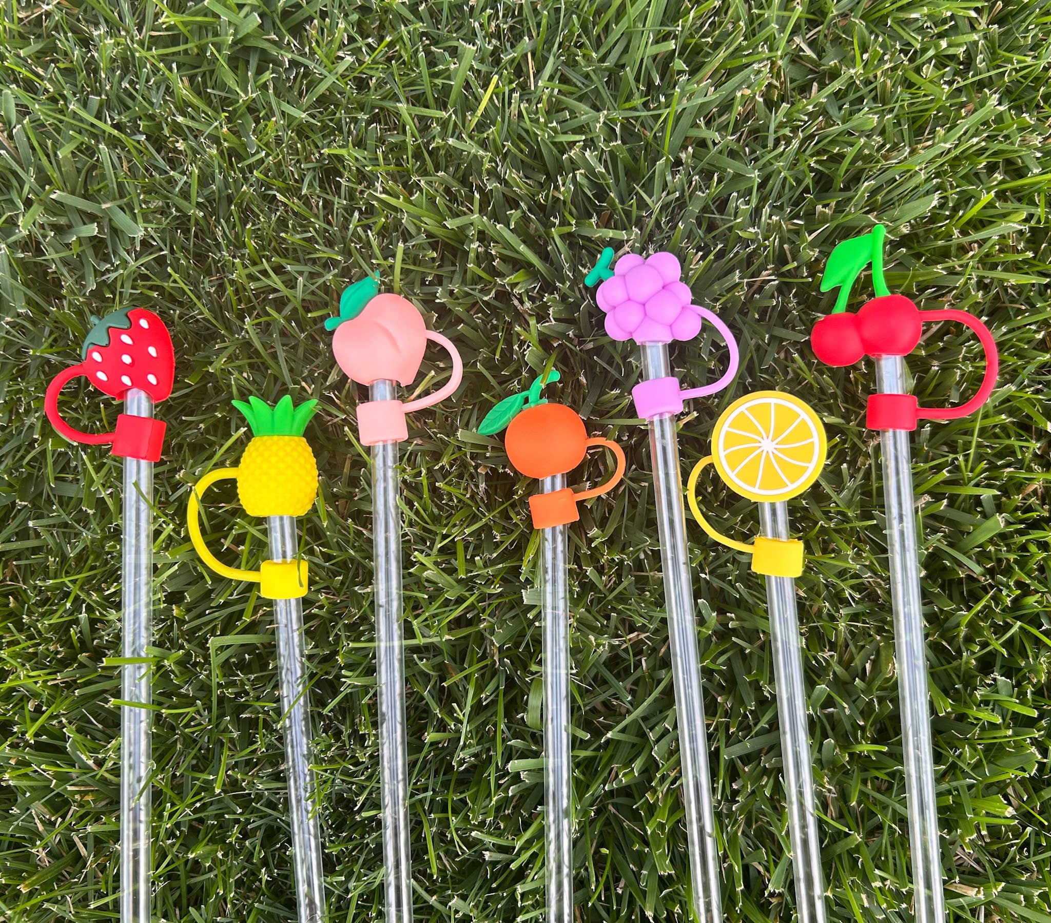 Tumbler Straw Topper - Various Designs