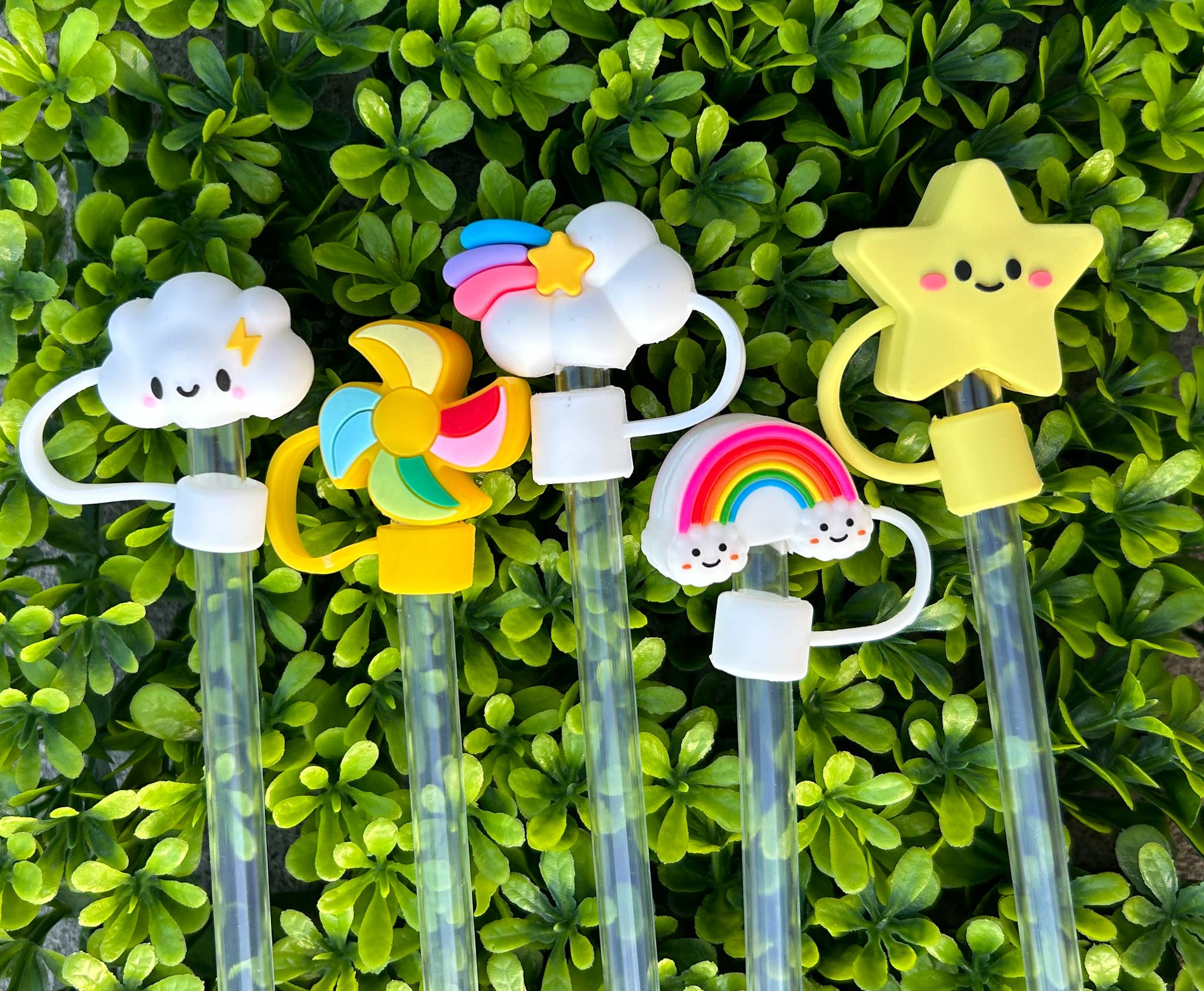 Tumbler Straw Topper - Various Designs