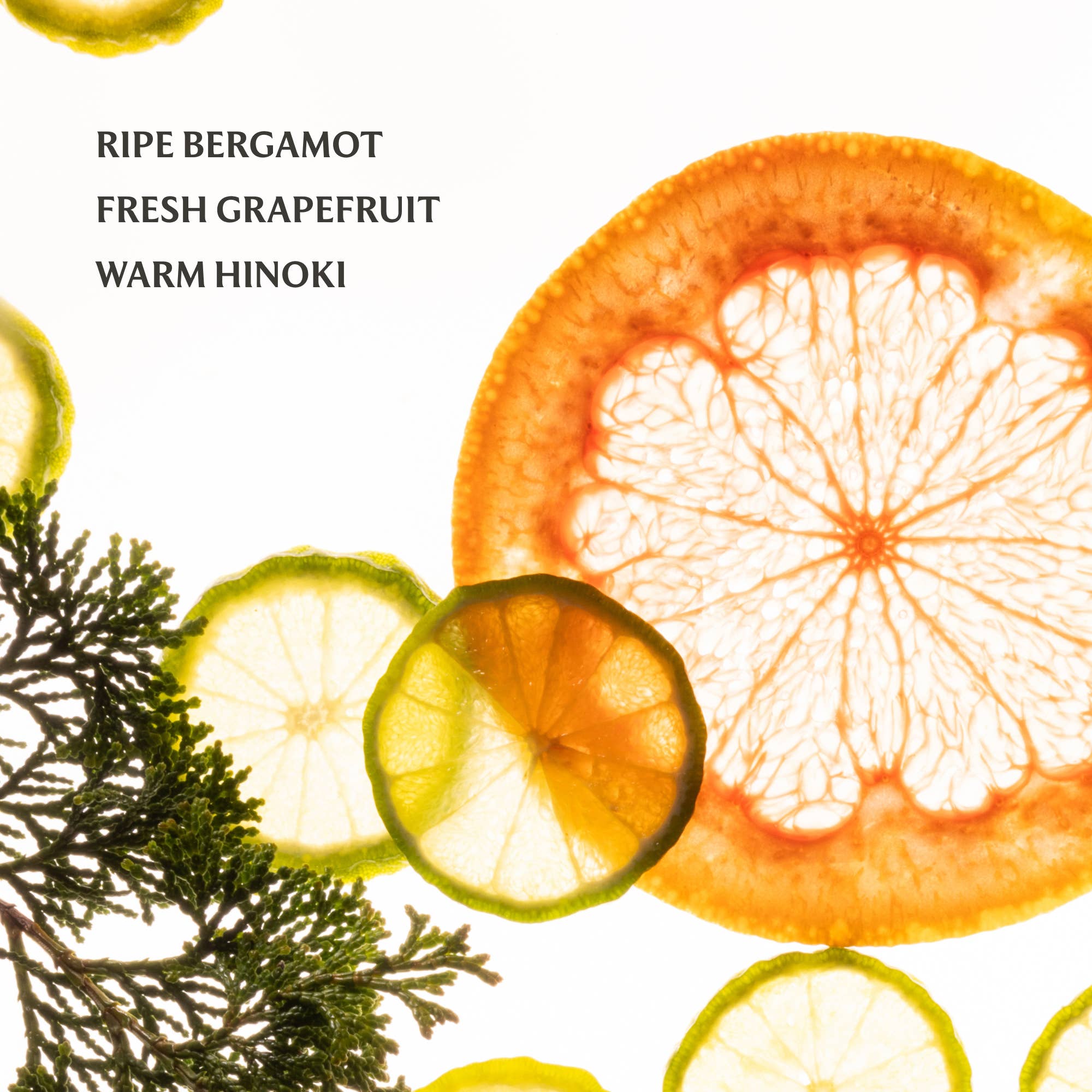 Sparkling Bergamot Power Essence Body & Hair Fragrance Mist - Posh West Boutique