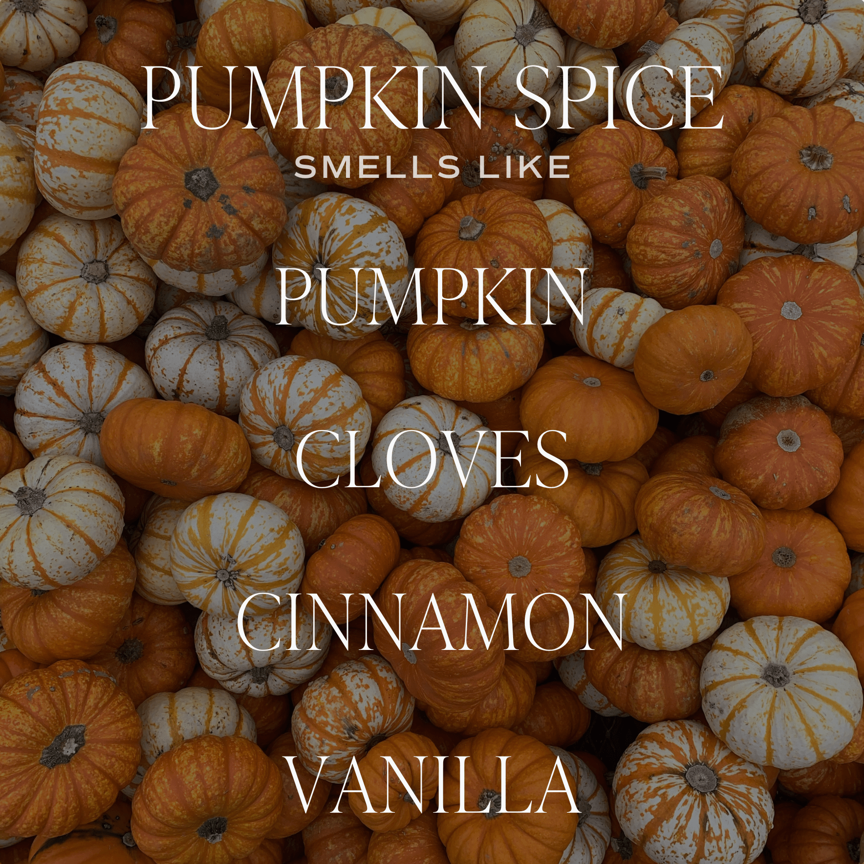 Pumpkin Spice Candle - Posh West Boutique