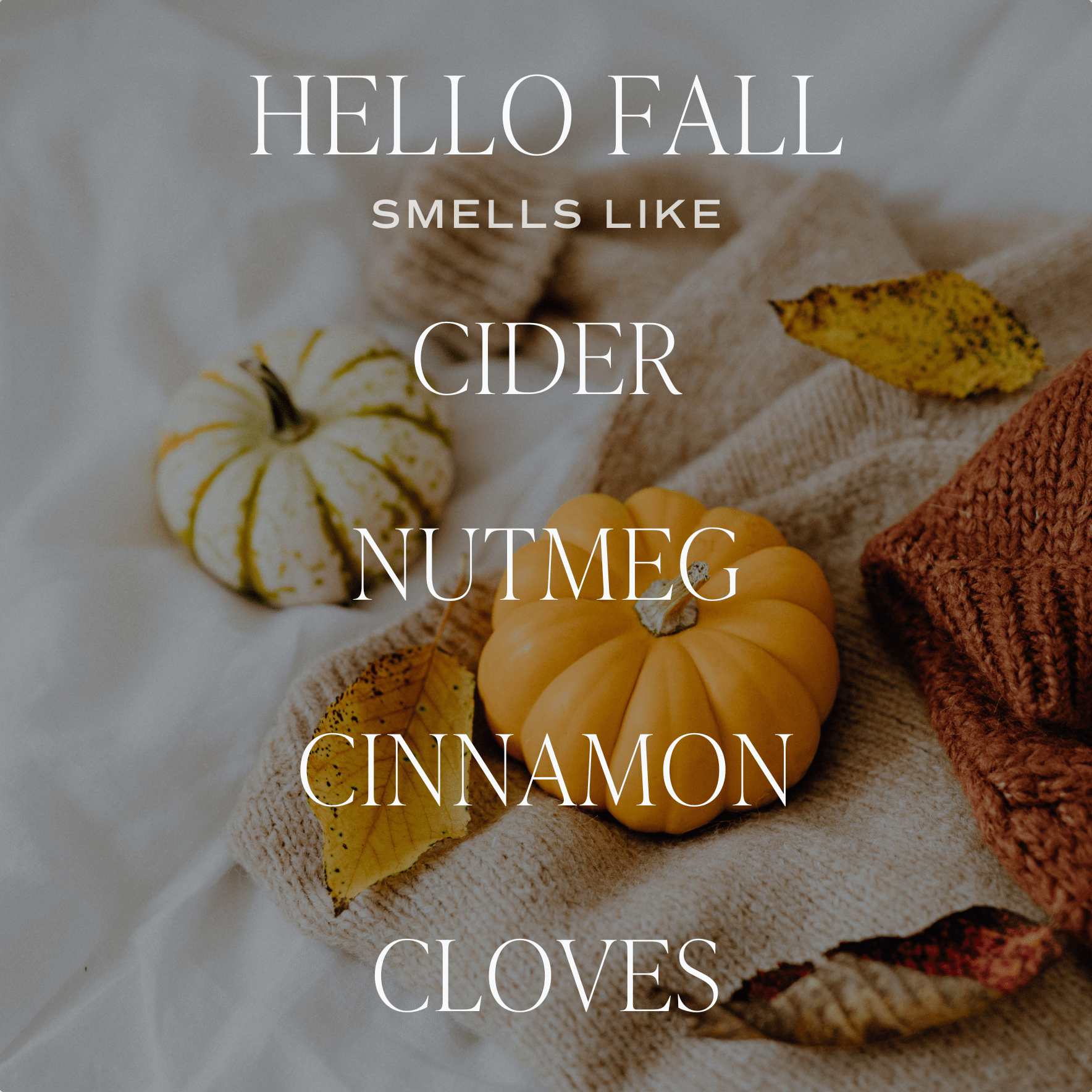 Hello Fall Reed Diffuser - Posh West Boutique