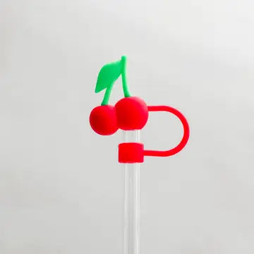 Tumbler Straw Topper - Various Designs - Posh West Boutique